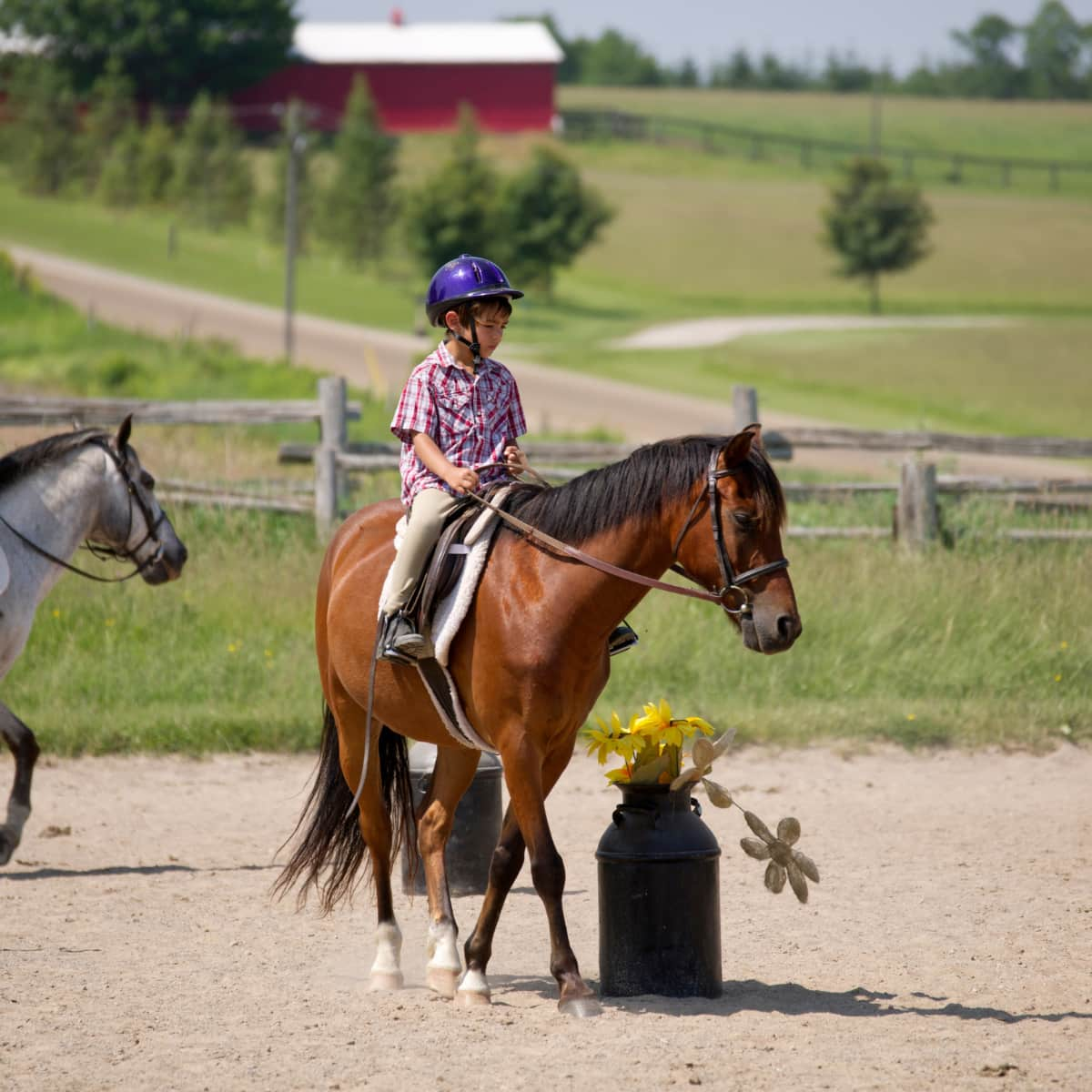 Boy riding small horse outside.