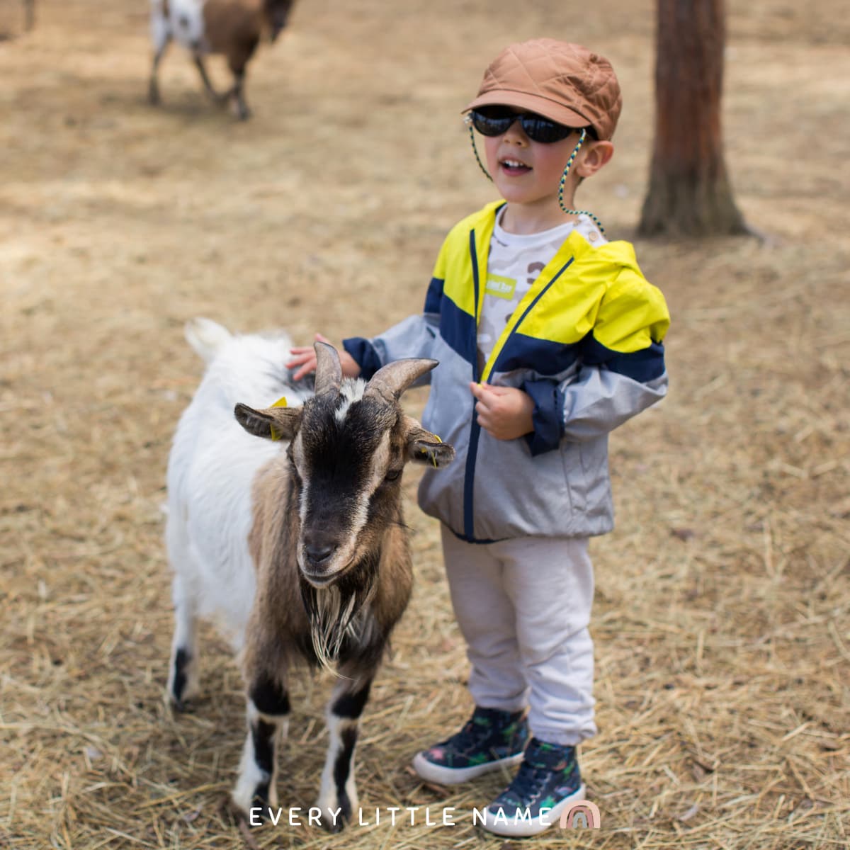 Boy petting goat.