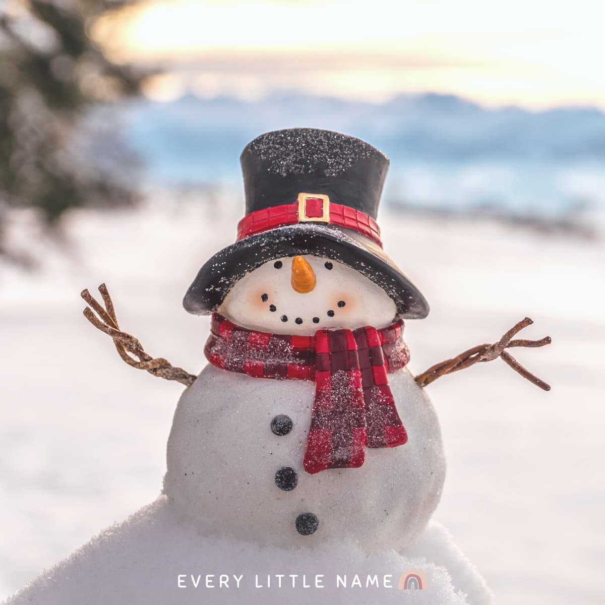 Snowman with hat and scarf.