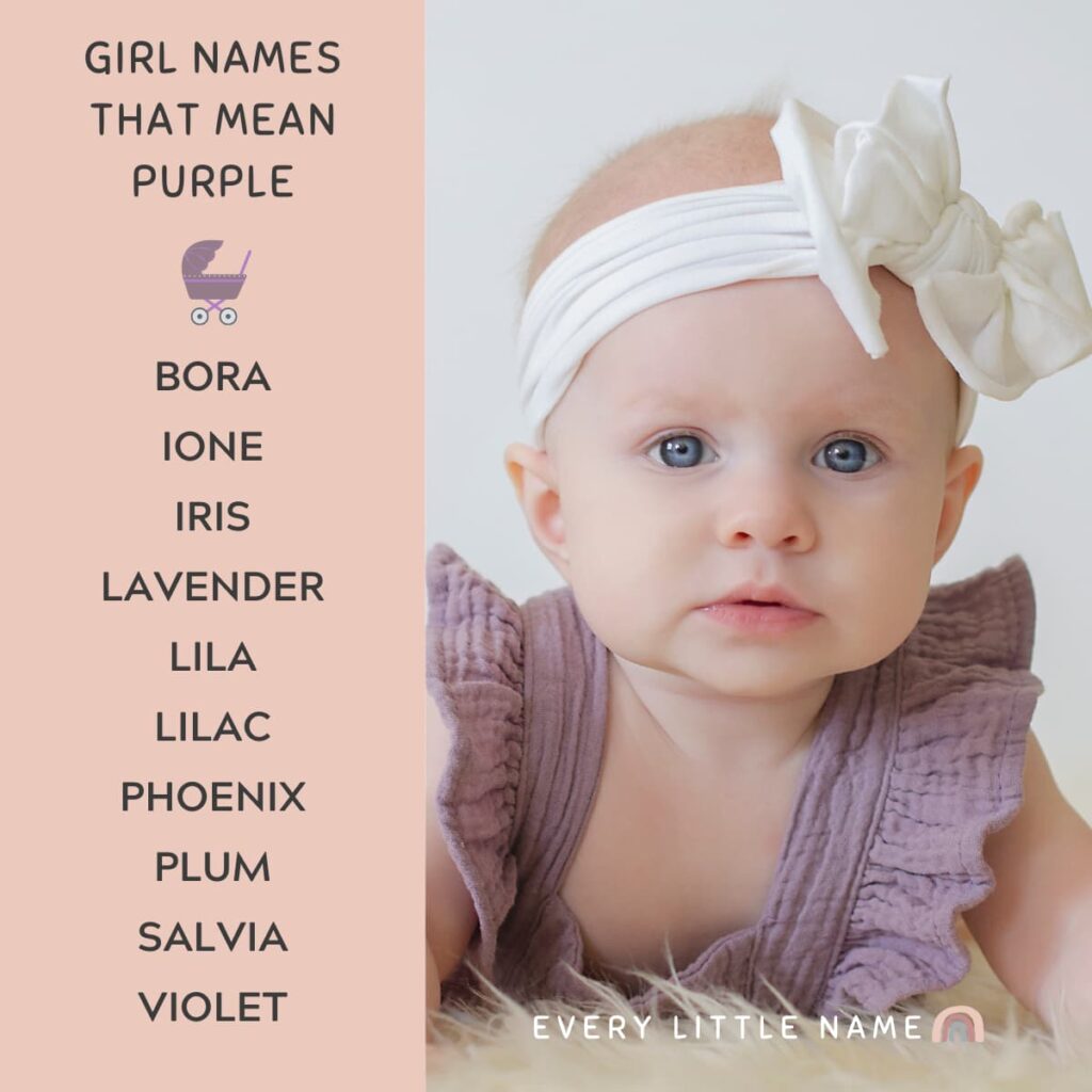 40+ Names That Mean Purple or Violet for Boys and Girls - Every Little Name