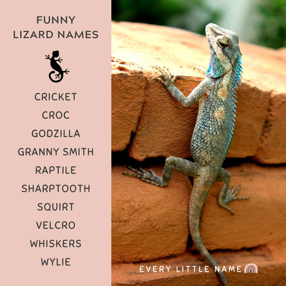 300+ Best Lizard Names (Cute, Funny, and Cool) - Every Little Name