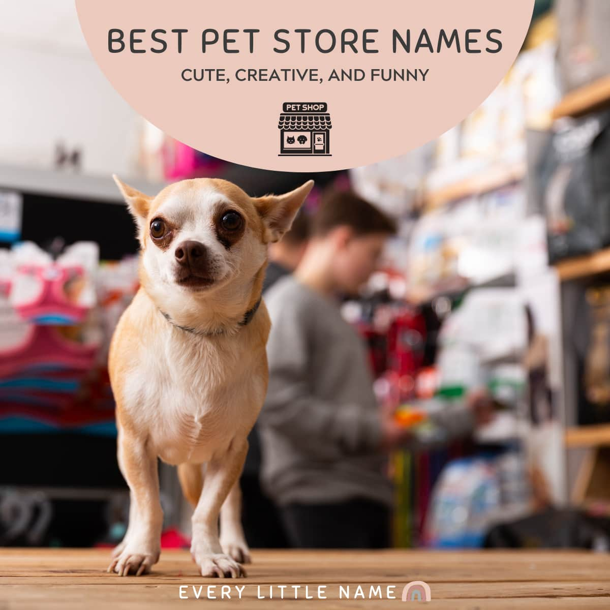 150+ Best Pet Store Names (Cute, Creative, and Purrfect) Every