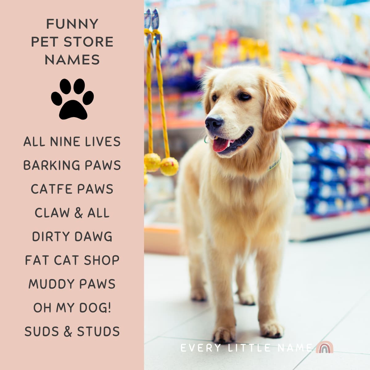 150 Best Pet Store Names Cute Creative And Purr Fect Every   Golden Retriever Dog In Pet Store 