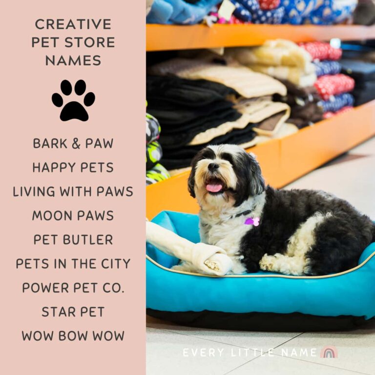 150+ Best Pet Store Names (Cute, Creative, and Purrfect) Every Little Name