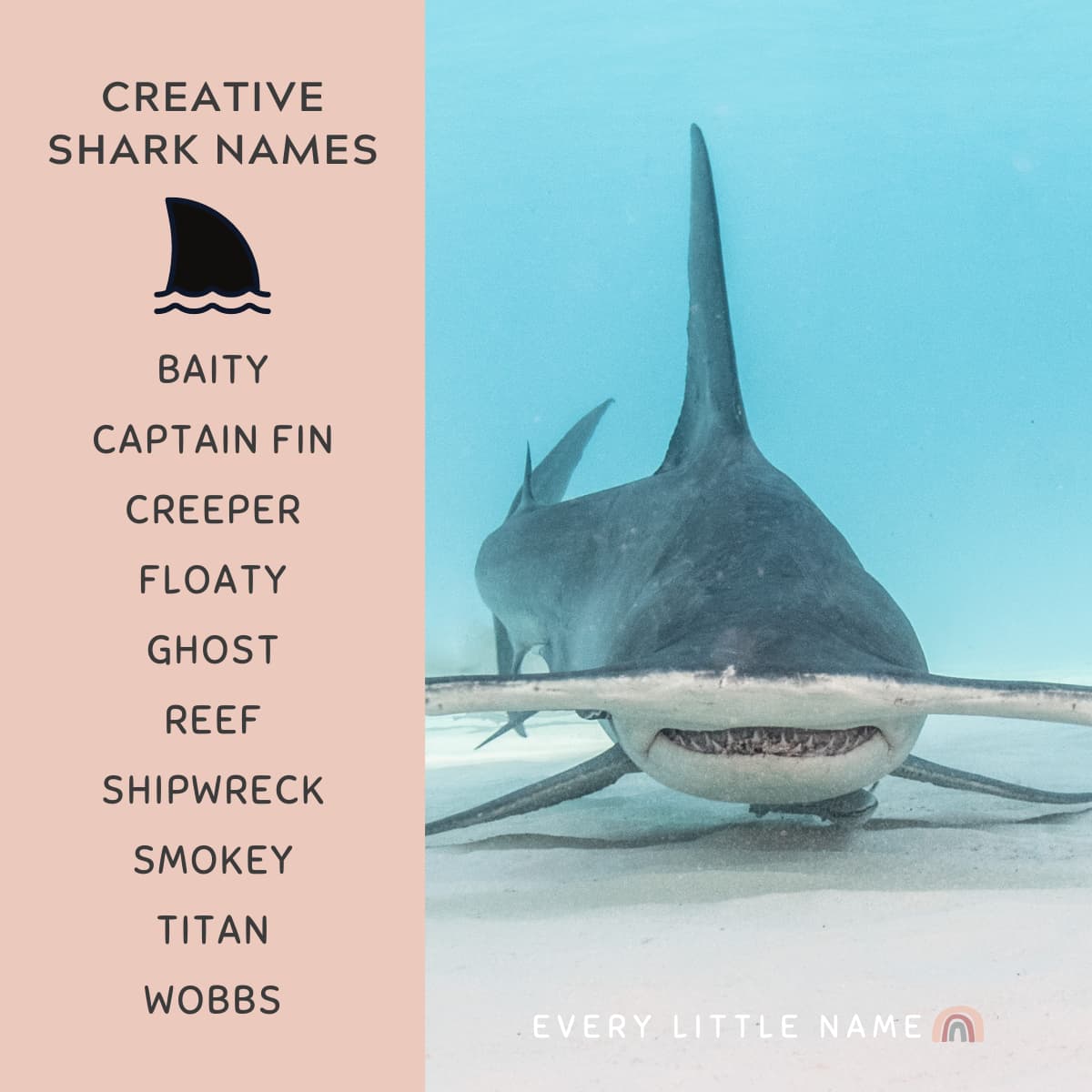 good shark robot names