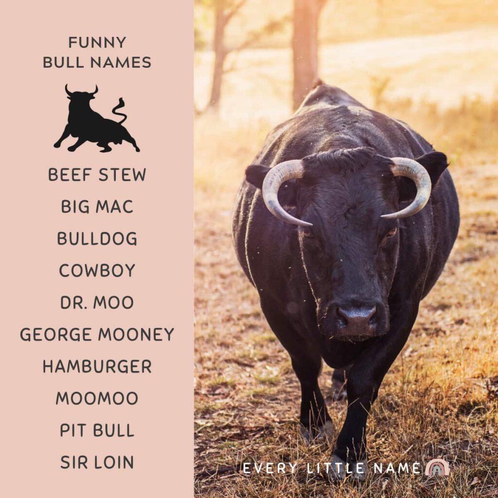 130 Best Bull Names (Strong, Funny, and Classic) Every Little Name